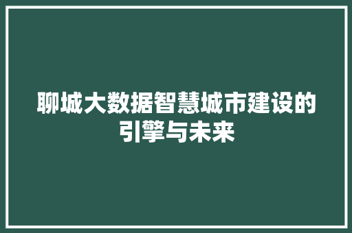 聊城大数据智慧城市建设的引擎与未来  第1张