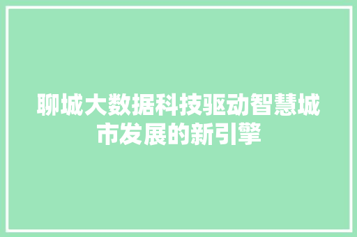 聊城大数据科技驱动智慧城市发展的新引擎