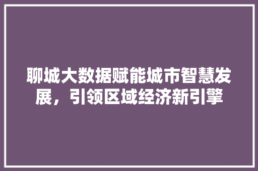 聊城大数据赋能城市智慧发展，引领区域经济新引擎