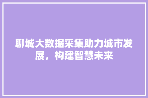 聊城大数据采集助力城市发展，构建智慧未来