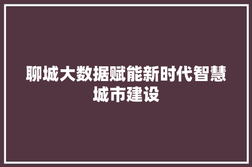 聊城大数据赋能新时代智慧城市建设