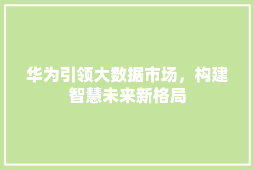 华为引领大数据市场，构建智慧未来新格局  第1张