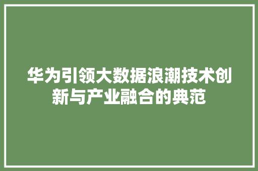 华为引领大数据浪潮技术创新与产业融合的典范  第1张