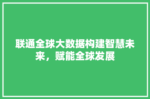 联通全球大数据构建智慧未来，赋能全球发展