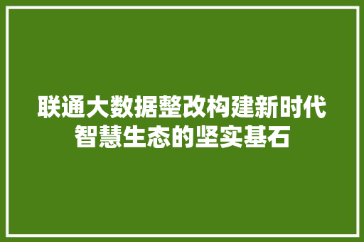 联通大数据整改构建新时代智慧生态的坚实基石  第1张