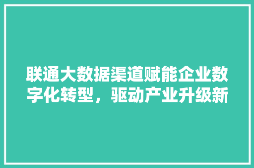 联通大数据渠道赋能企业数字化转型，驱动产业升级新引擎  第1张