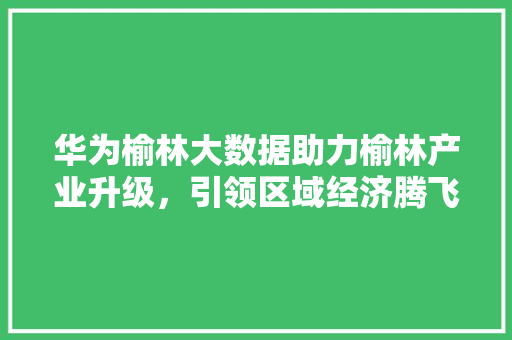 华为榆林大数据助力榆林产业升级，引领区域经济腾飞