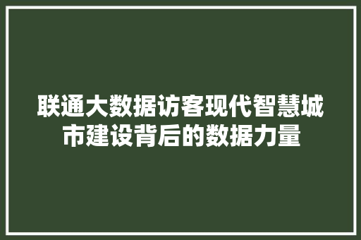 联通大数据访客现代智慧城市建设背后的数据力量