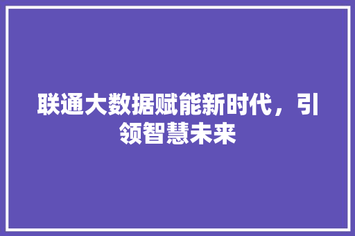 联通大数据赋能新时代，引领智慧未来  第1张