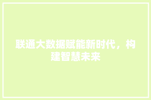联通大数据赋能新时代，构建智慧未来  第1张