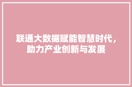 联通大数据赋能智慧时代，助力产业创新与发展  第1张