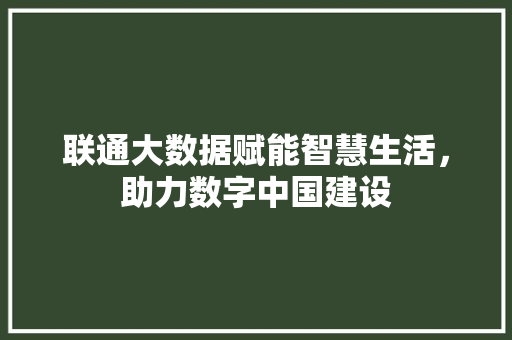 联通大数据赋能智慧生活，助力数字中国建设  第1张