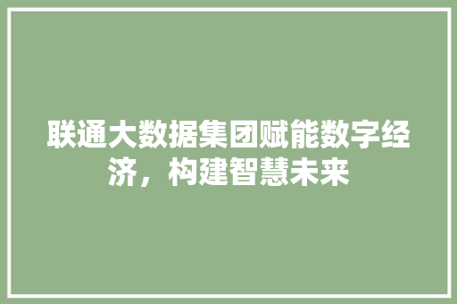 联通大数据集团赋能数字经济，构建智慧未来