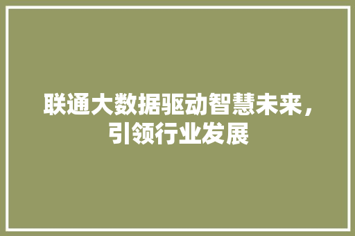 联通大数据驱动智慧未来，引领行业发展