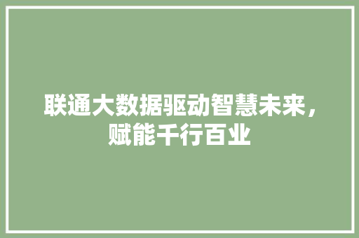 联通大数据驱动智慧未来，赋能千行百业