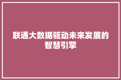 联通大数据驱动未来发展的智慧引擎