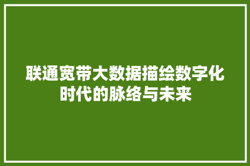 联通宽带大数据描绘数字化时代的脉络与未来