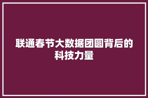 联通春节大数据团圆背后的科技力量
