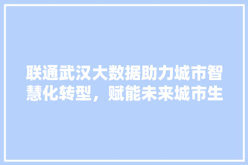 联通武汉大数据助力城市智慧化转型，赋能未来城市生活