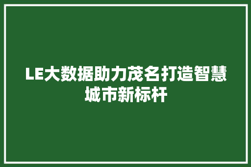 LE大数据助力茂名打造智慧城市新标杆