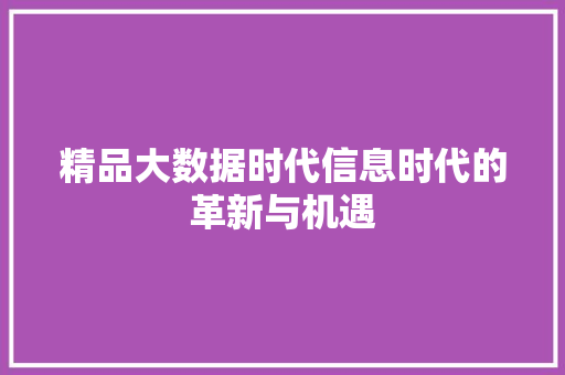 精品大数据时代信息时代的革新与机遇