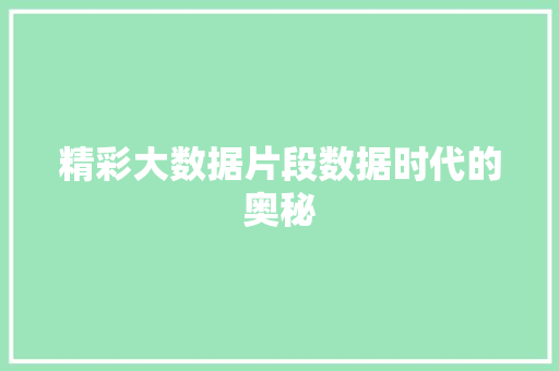 精彩大数据片段数据时代的奥秘