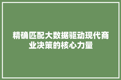 精确匹配大数据驱动现代商业决策的核心力量