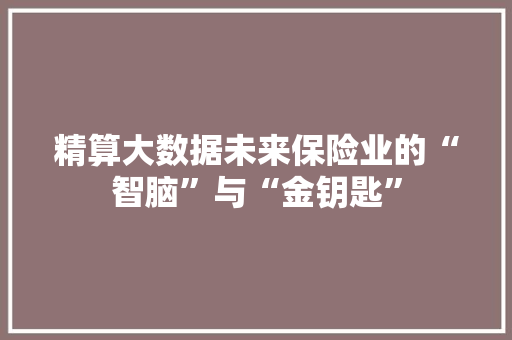 精算大数据未来保险业的“智脑”与“金钥匙”