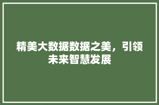精美大数据数据之美，引领未来智慧发展