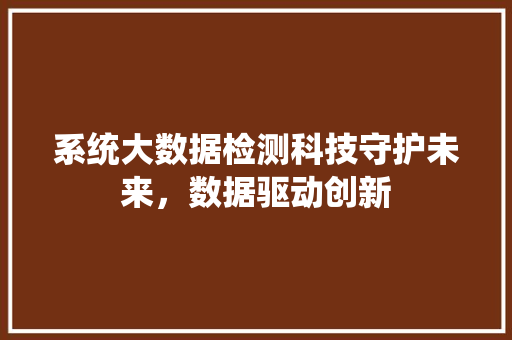系统大数据检测科技守护未来，数据驱动创新