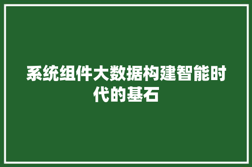 系统组件大数据构建智能时代的基石