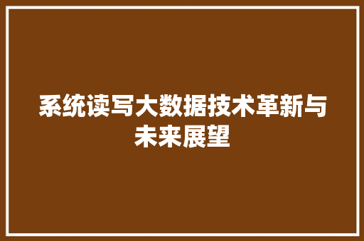 系统读写大数据技术革新与未来展望