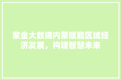 紫金大数据内蒙赋能区域经济发展，构建智慧未来