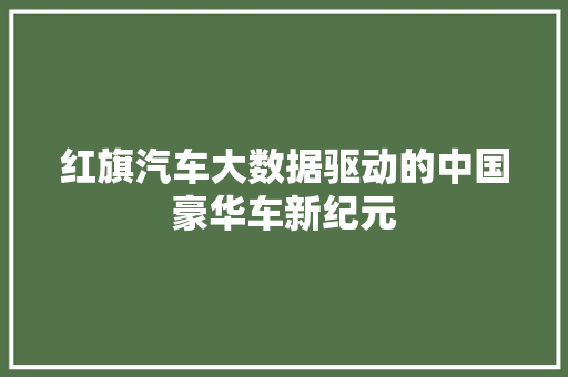 红旗汽车大数据驱动的中国豪华车新纪元