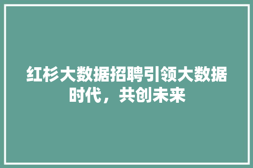 红杉大数据招聘引领大数据时代，共创未来