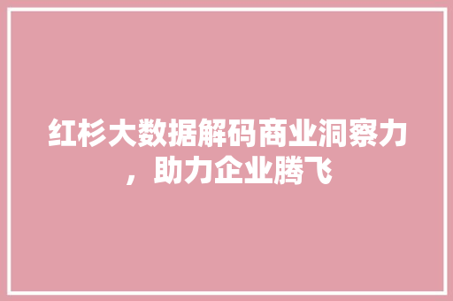 红杉大数据解码商业洞察力，助力企业腾飞