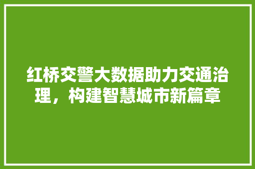 红桥交警大数据助力交通治理，构建智慧城市新篇章