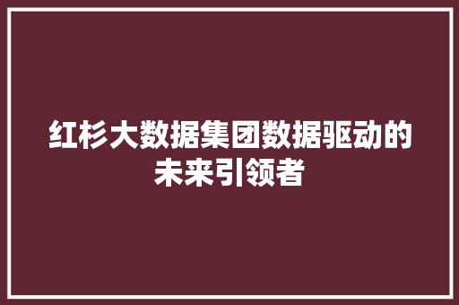 红杉大数据集团数据驱动的未来引领者