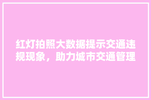 红灯拍照大数据提示交通违规现象，助力城市交通管理精细化