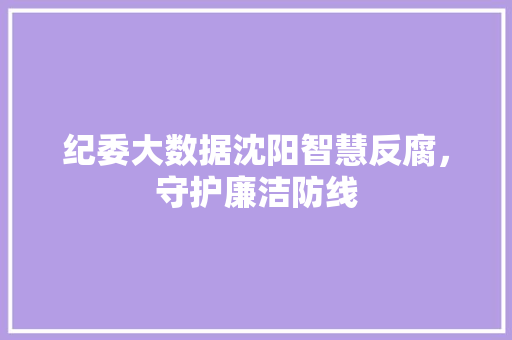 纪委大数据沈阳智慧反腐，守护廉洁防线