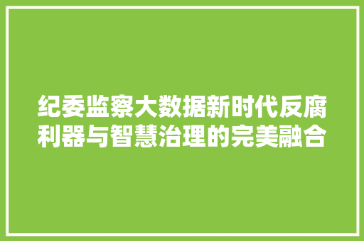 纪委监察大数据新时代反腐利器与智慧治理的完美融合