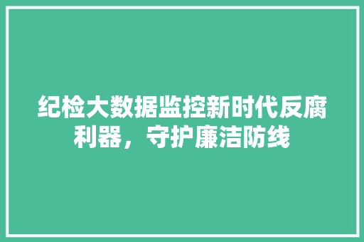 纪检大数据监控新时代反腐利器，守护廉洁防线
