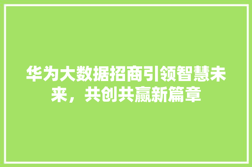 华为大数据招商引领智慧未来，共创共赢新篇章