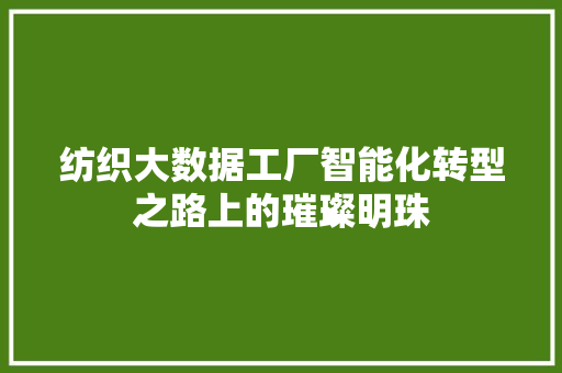 纺织大数据工厂智能化转型之路上的璀璨明珠