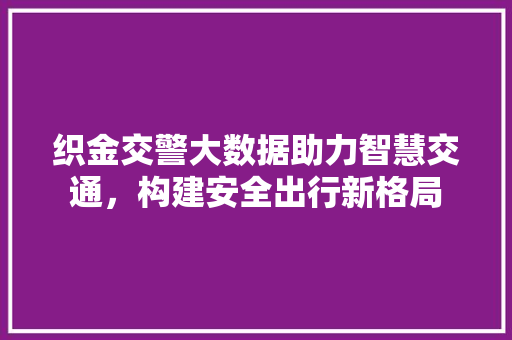 织金交警大数据助力智慧交通，构建安全出行新格局