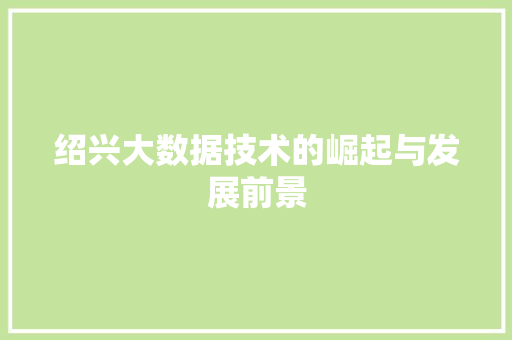 绍兴大数据技术的崛起与发展前景