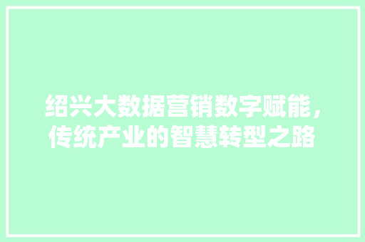 绍兴大数据营销数字赋能，传统产业的智慧转型之路