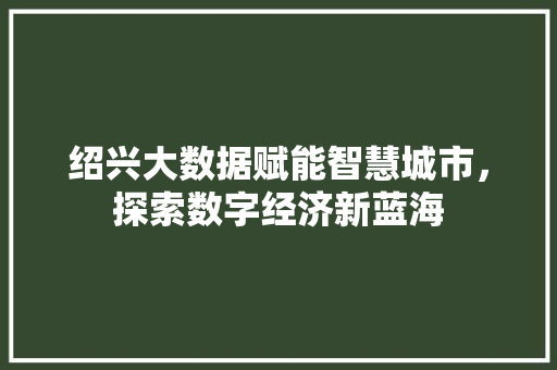 绍兴大数据赋能智慧城市，探索数字经济新蓝海