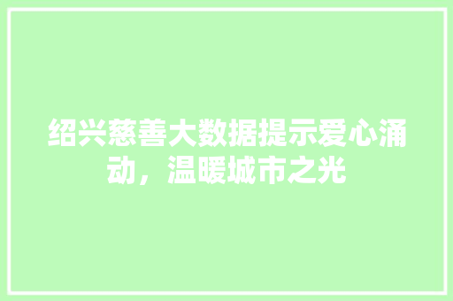 绍兴慈善大数据提示爱心涌动，温暖城市之光