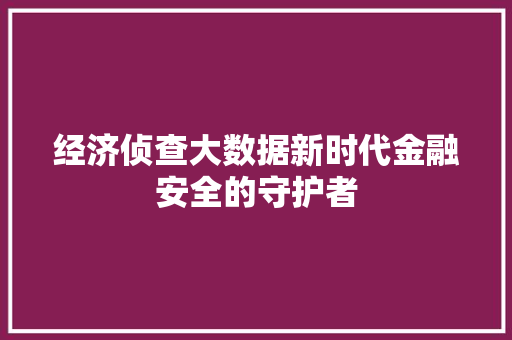 经济侦查大数据新时代金融安全的守护者
